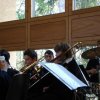 dsc00545