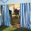 2008_0723100-jahre-staka0011