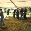 2008_0723100-jahre-staka0013